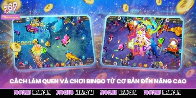 Cách làm quen và chơi Bingo từ cơ bản đến nâng cao